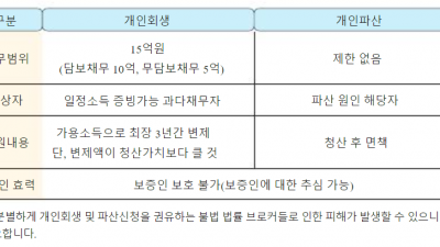 법원의 채무자 구제제도